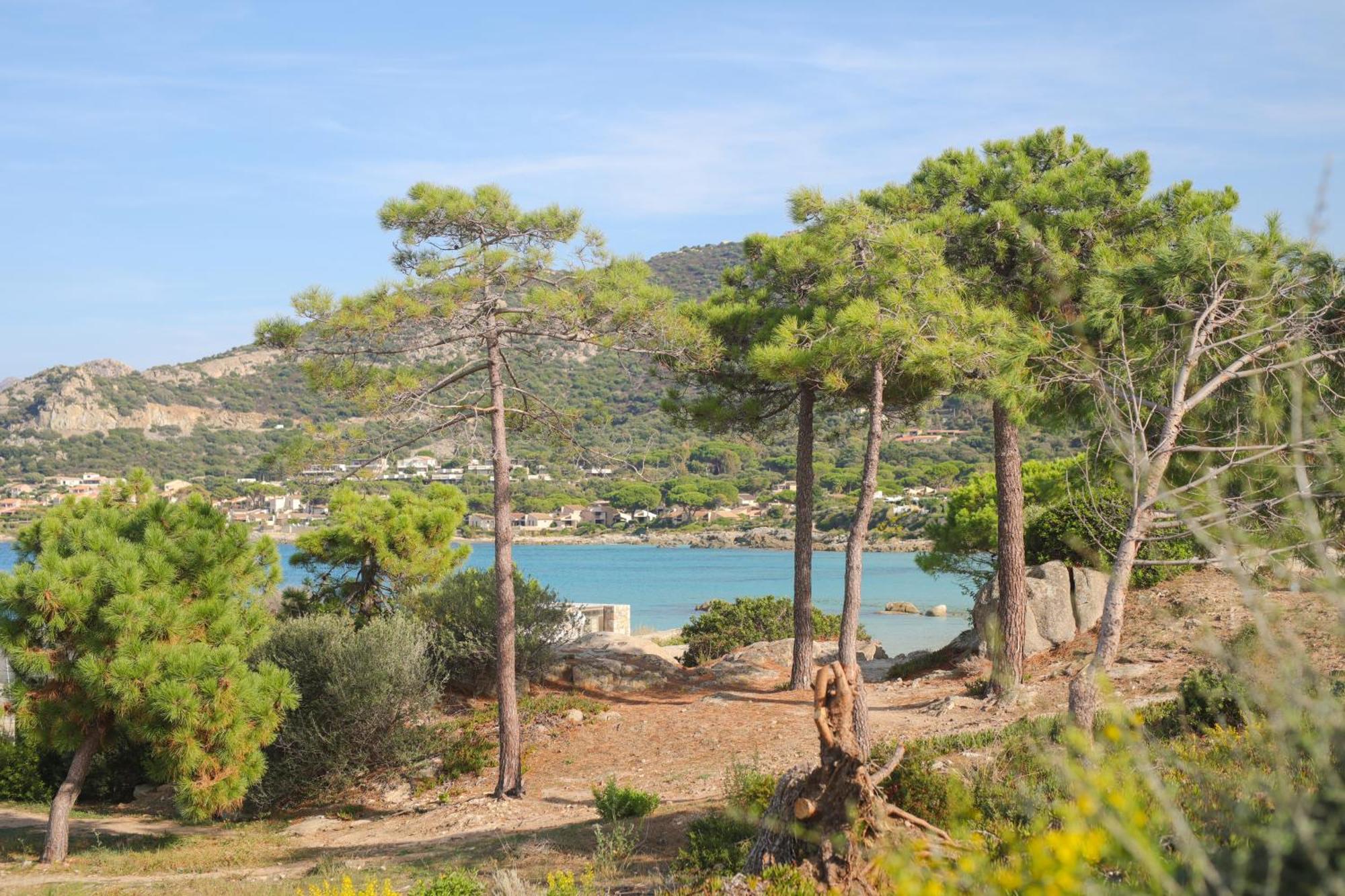 Apartamento La Balagne , Bord De Mer, Grande Terrasse, Sant'ambroggio Lumio (Corsica)